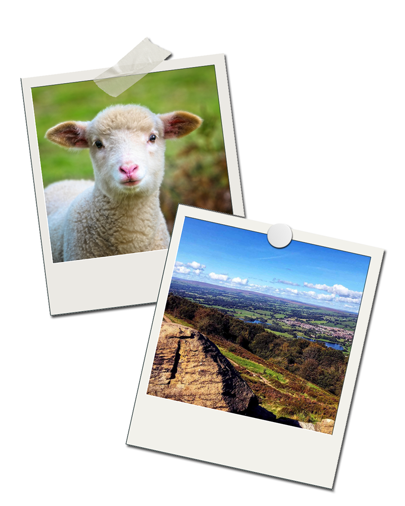 Visit Otley